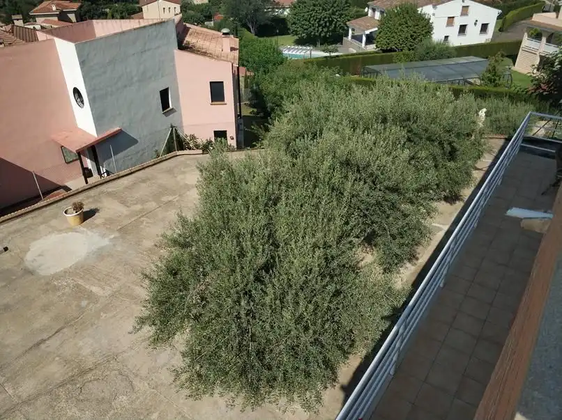 Villa avec piscine à vendre à Borriol, imagen 30