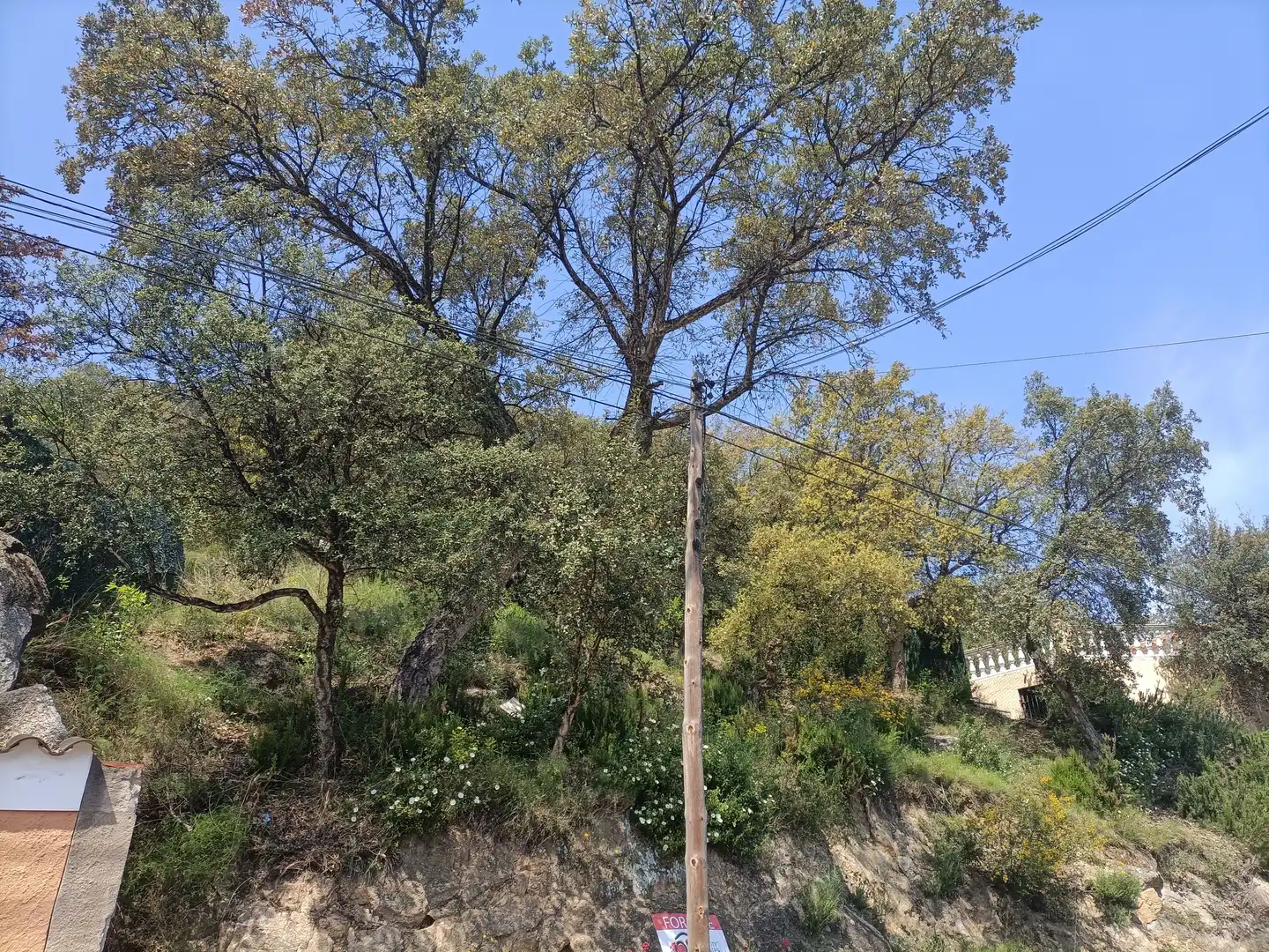 Terreny residencial en venda a Cabanyes - Mas Ambrós - Mas Pallí, imagen 6