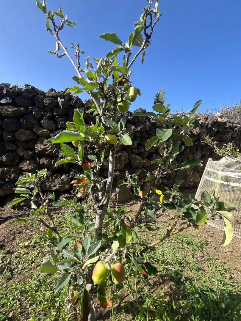 Residencial en venta en El Pinar de El Hierro