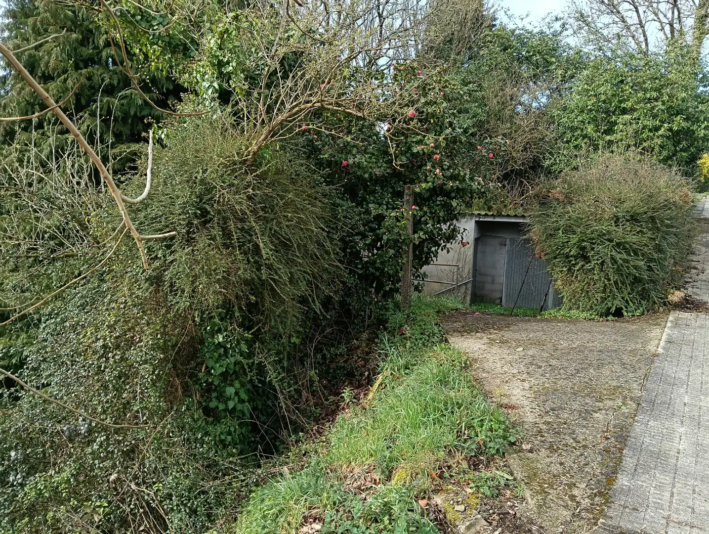 Adossat amb jardí en venda a Foro 55, imagen 47