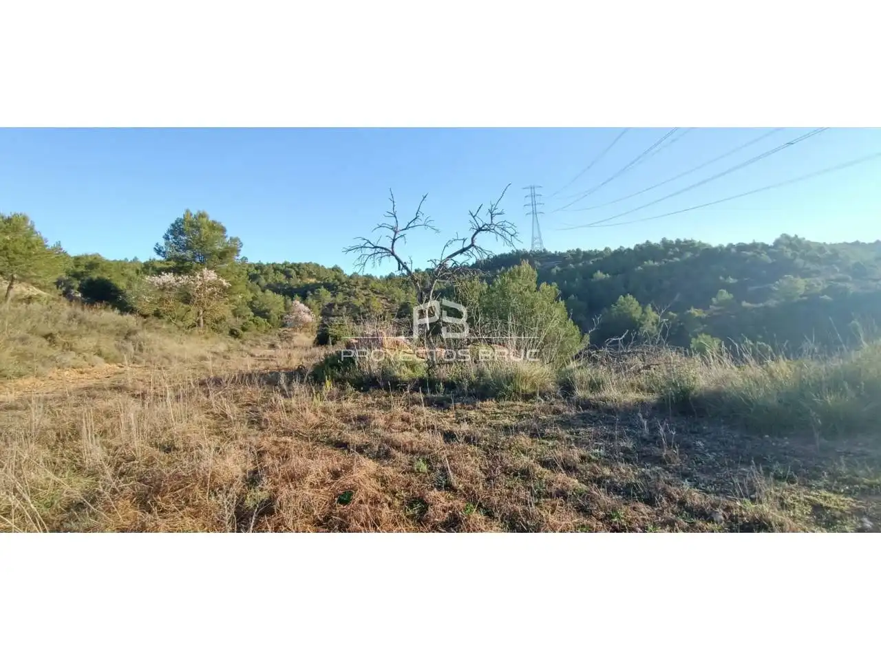 Residential land for sale in El Bruc, imagen 8