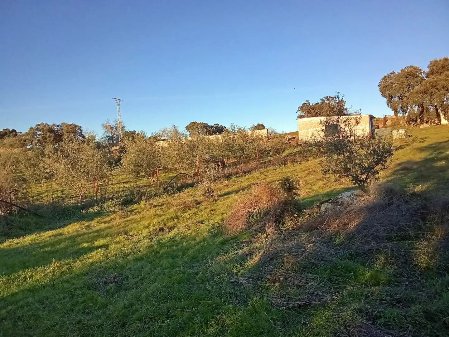 Terreni e lotti in vendita a Burguillos del Cerro, imagen 33