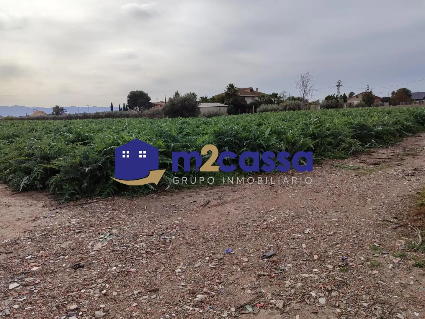Terreno rustico in vendita a Pedanías Centro