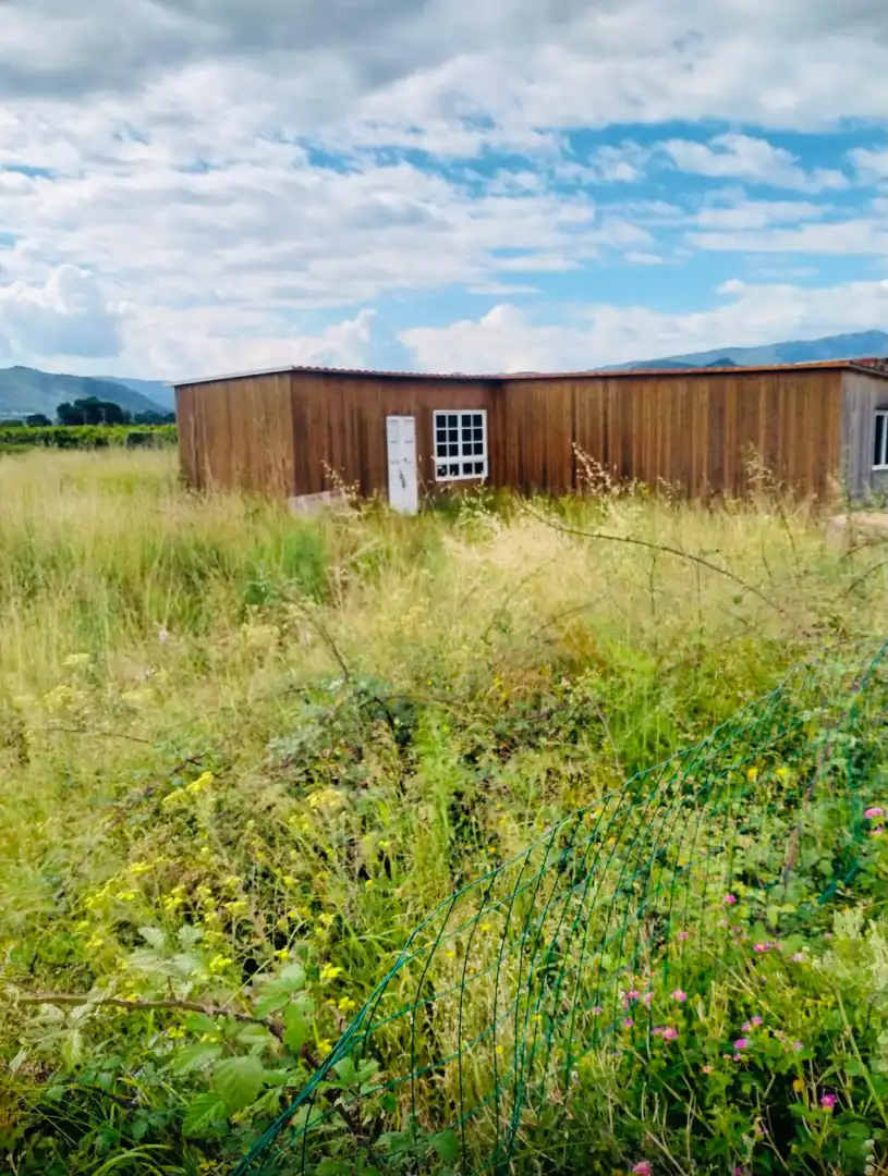 Vista exterior de Finca rústica en venda en Palma de Gandia