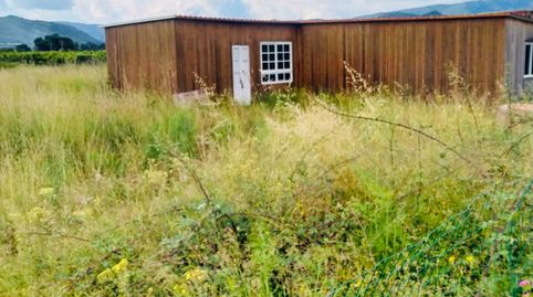 Foto 3 de Finca rústica en venta en Camino de Marchuquera, 167, Palma de Gandia, Valencia