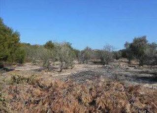 Foto 2 de Terreny en venda a Partida Terrer y Otras, S/n, Torres Torres, Valencia