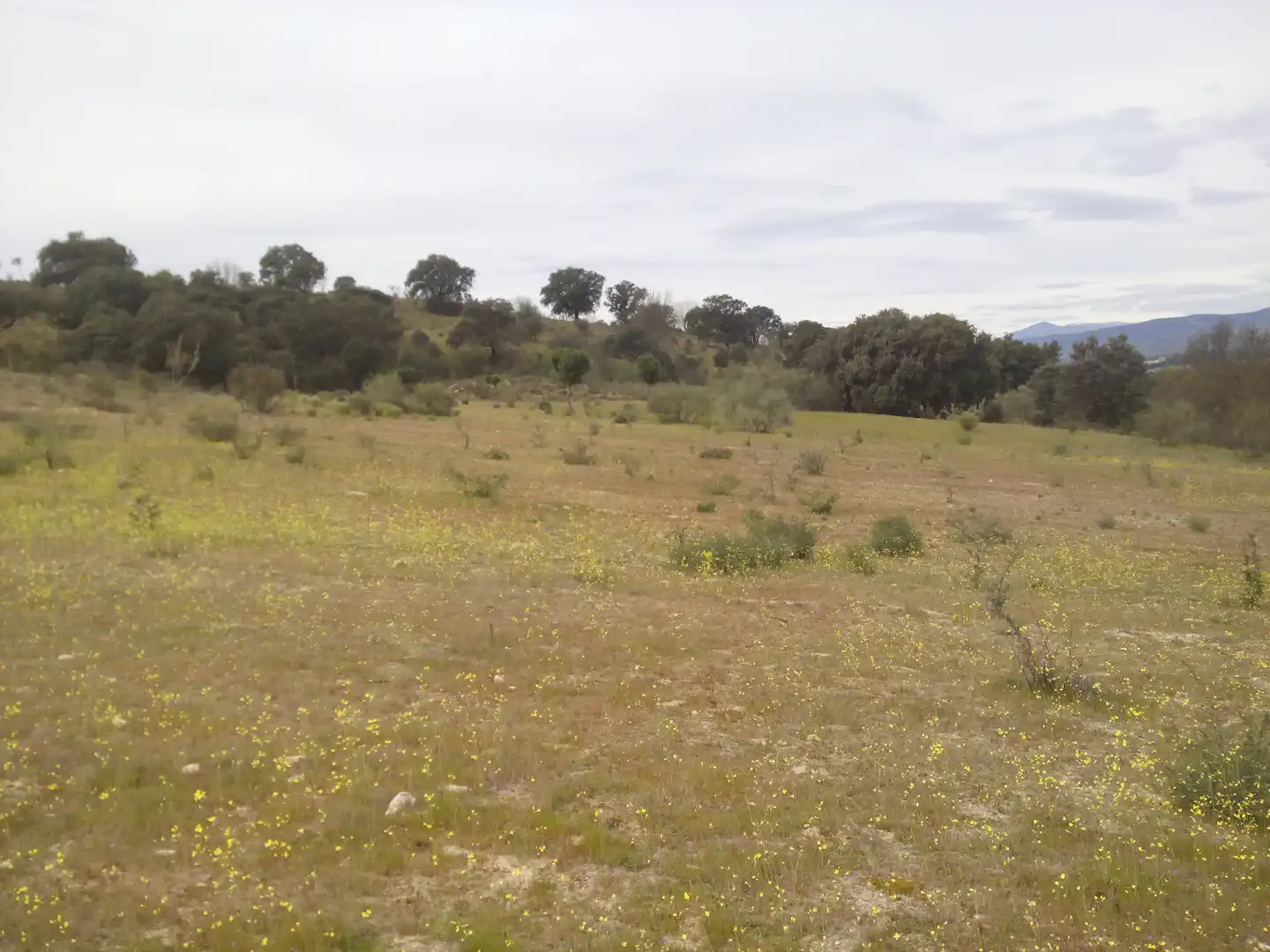 Terreno en venta en Aldea del Fresno