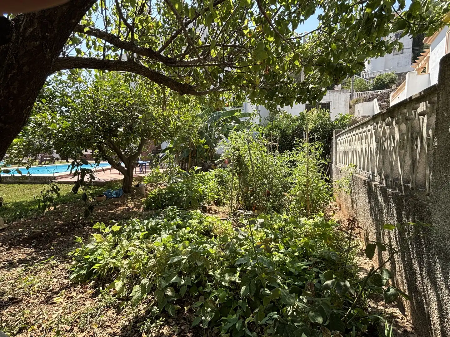 Casa amb piscina en venda a La Font d'en Carròs, imagen 13