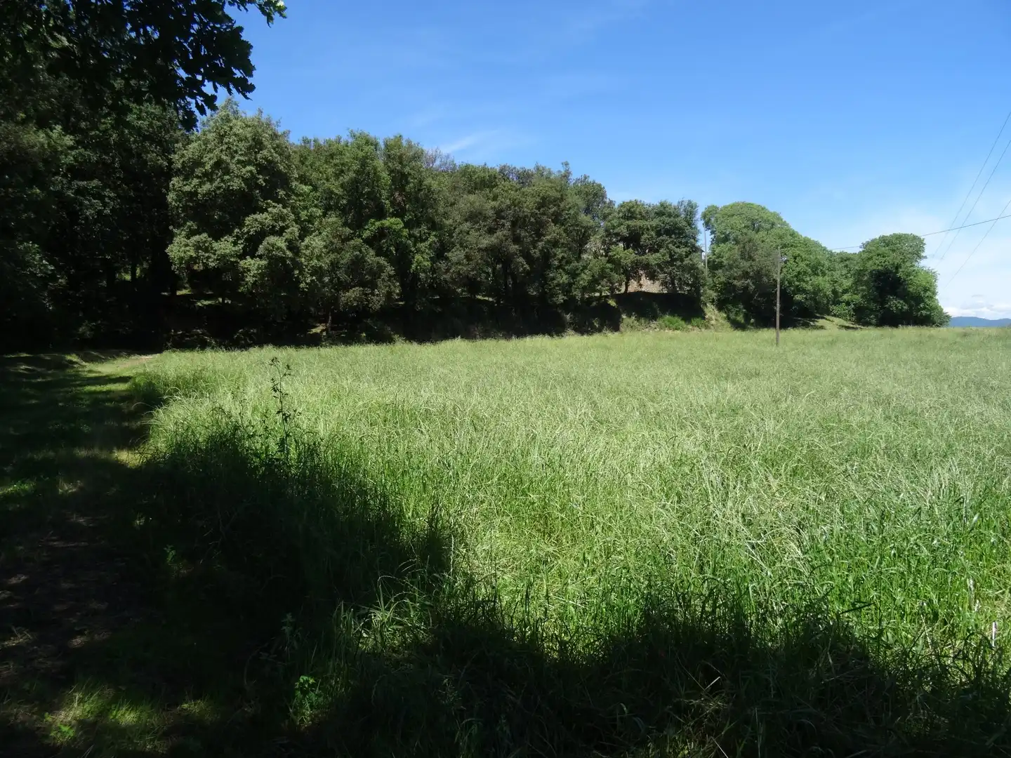 Finca rústica en venta en Bescanó