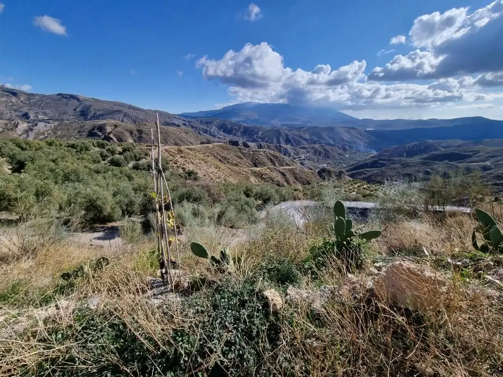 Terreni e lotti in vendita a Nevada, imagen 7
