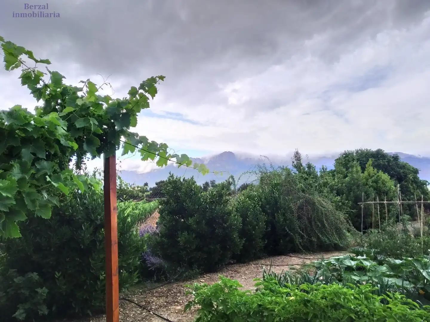 Jardín de Terreno en venta en Laguardia
