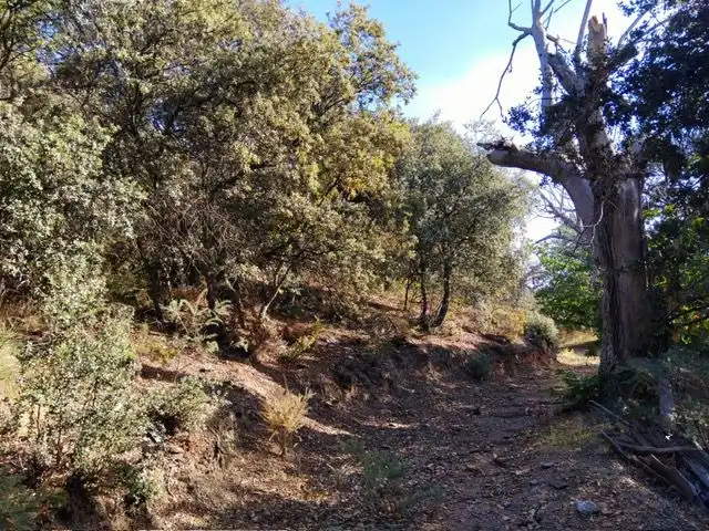 Country homes for sale in Pórtugos