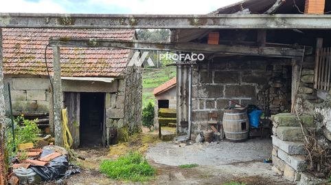 Ourense  Melon  Moces