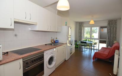 Kitchen of Study for sale in Ribeira