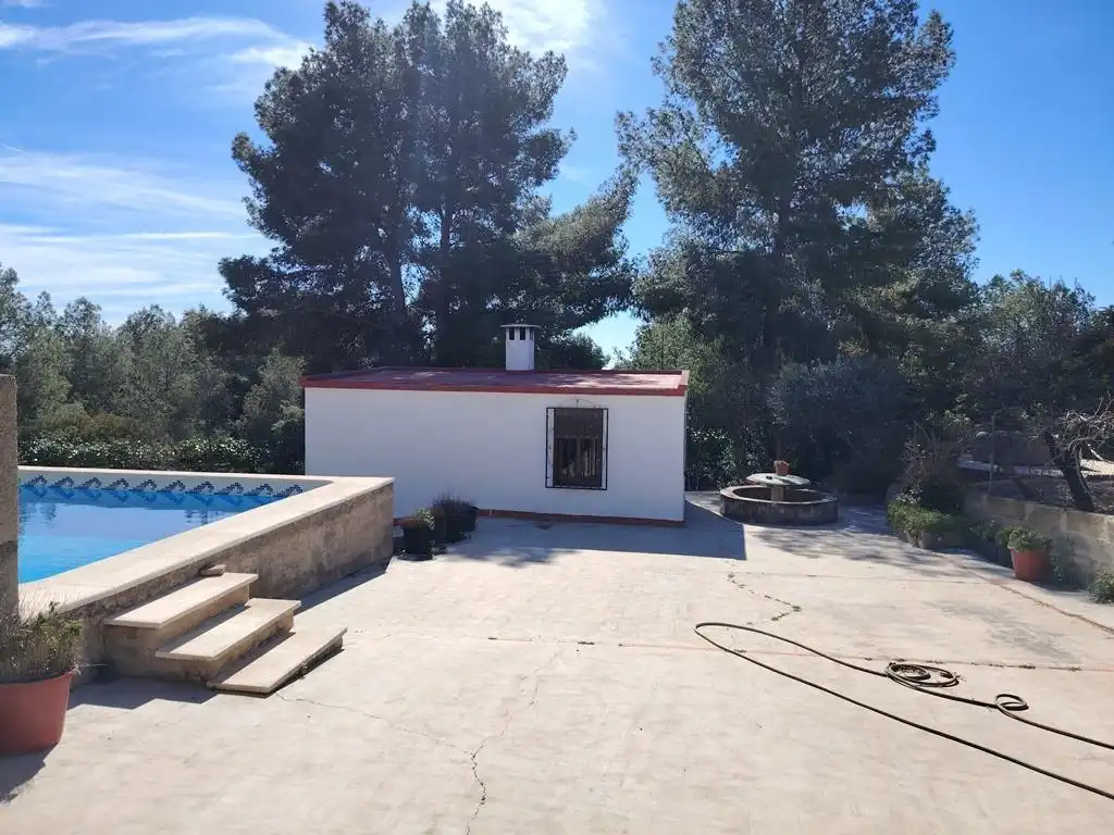 Garten von Haus oder Chalet zur Miete in Olocau mit Möbliert