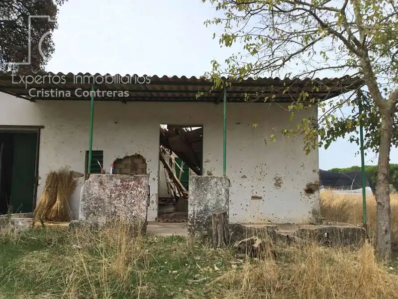 Casa rustica in vendita a Almonte ciudad, imagen 47
