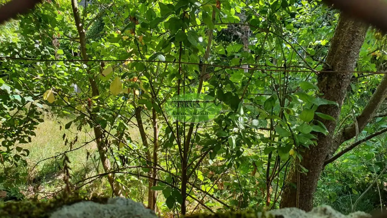 Casa con jardín en venta en O Carballiño, imagen 2