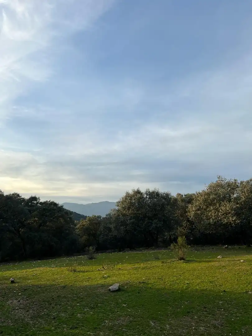 Vista exterior de Terreno en venta en Almendral de la Cañada, Toledo