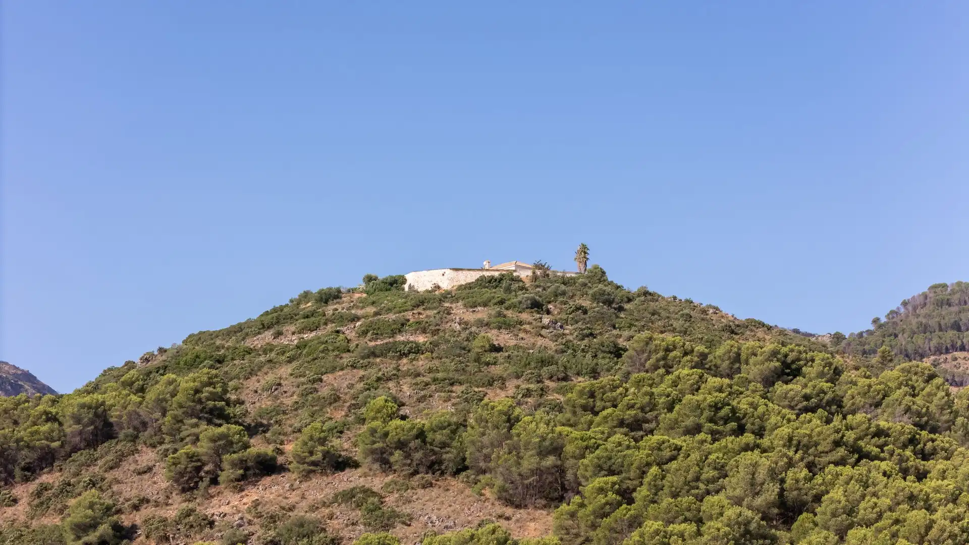 Exterior view of Houses for sale in Alhaurín de la Torre  with Terrace