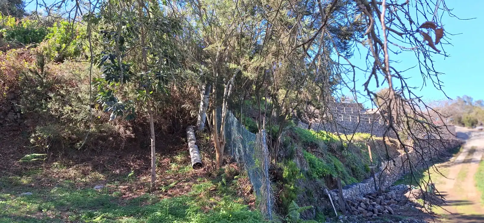 Finca rústica en venta en Los Realejos con Jardín privado y Terraza