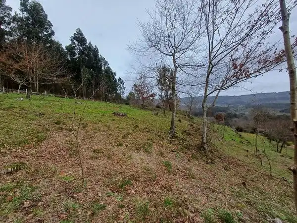 Terreno residenziale in vendita a Rua Pintelos, imagen 18