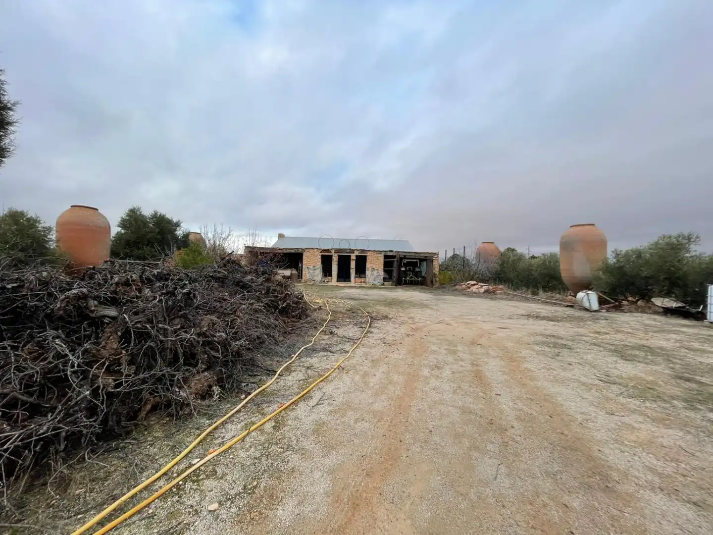 Lands and plots for sale in Valdepeñas, imagen 7