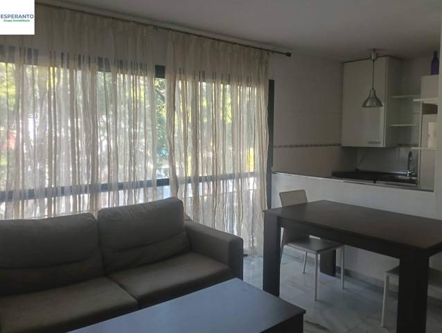 Apartamento en Alquiler en Avenida JUAN SEBASTIAN ELCANO en Pedregalejo - Morlaco