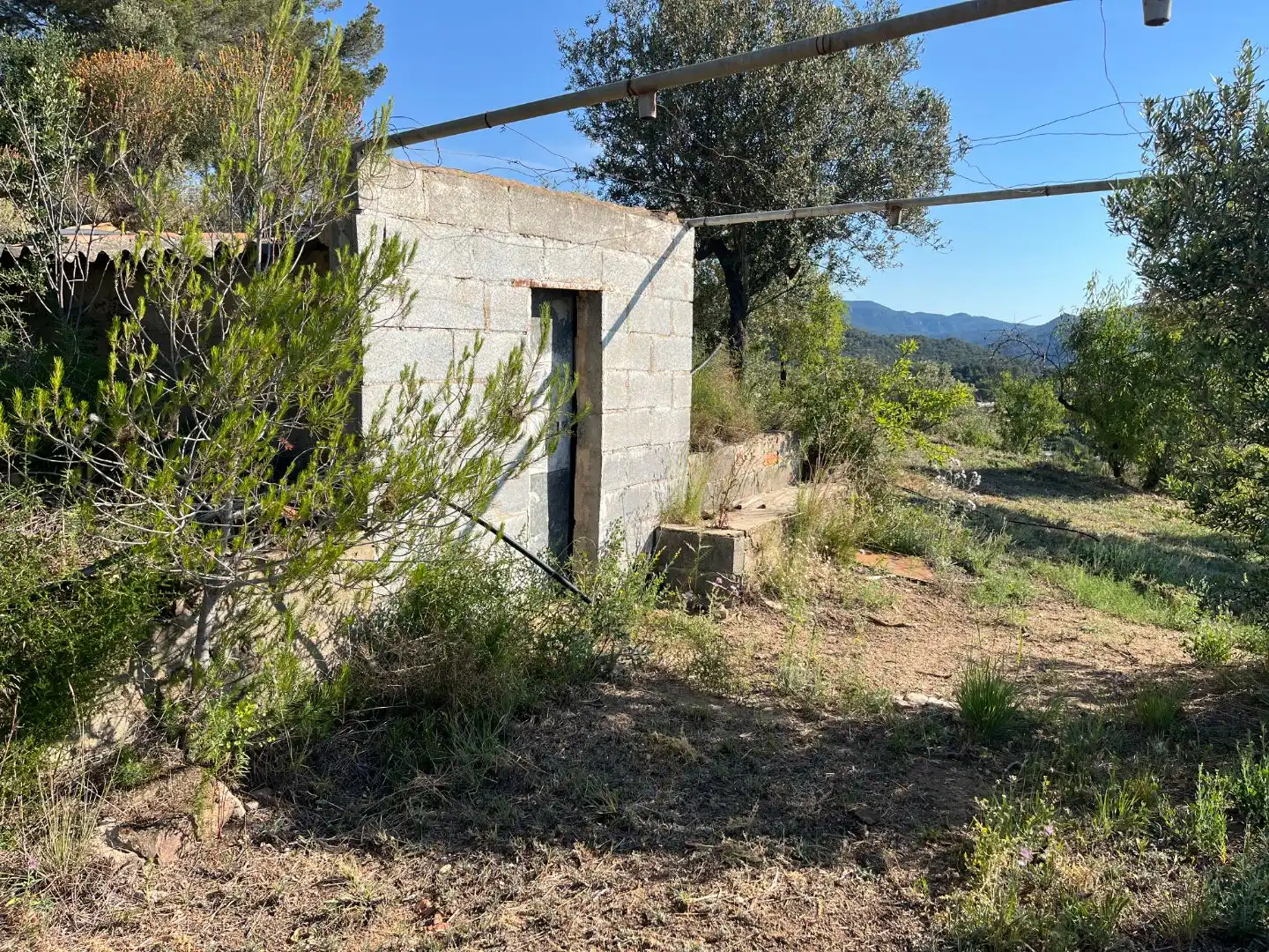 Rural land for sale in Carrer dels Jocs Olímpics 1, imagen 7