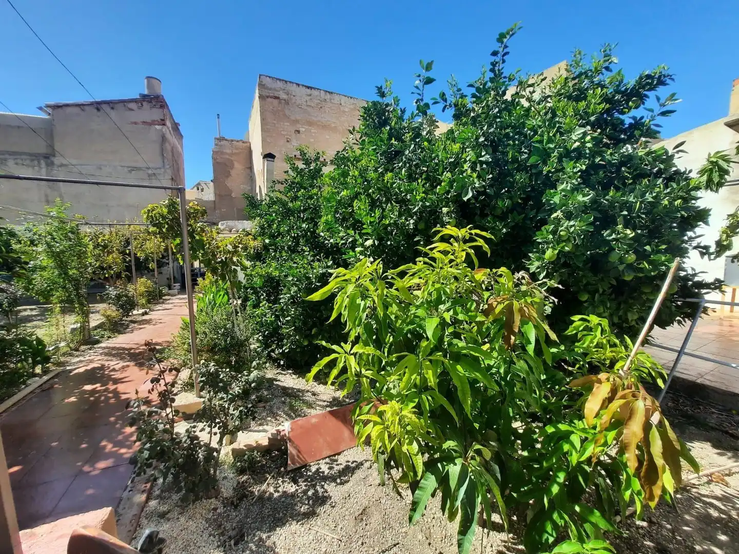 Jardí de Casa o xalet en venda en Mula amb Terrassa