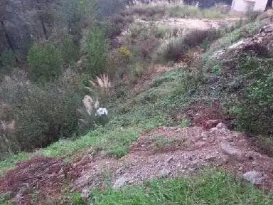 Terreny rústic en venda a CL URB. LLORET RESIDENCIAL PARCELLA Nº 12