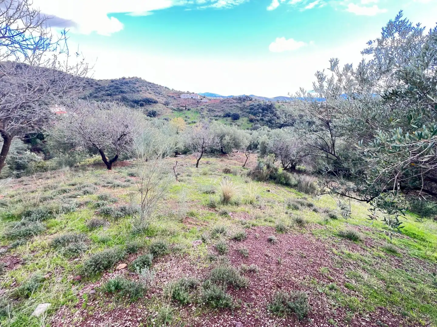 Casa o xalet en venda en Riogordo