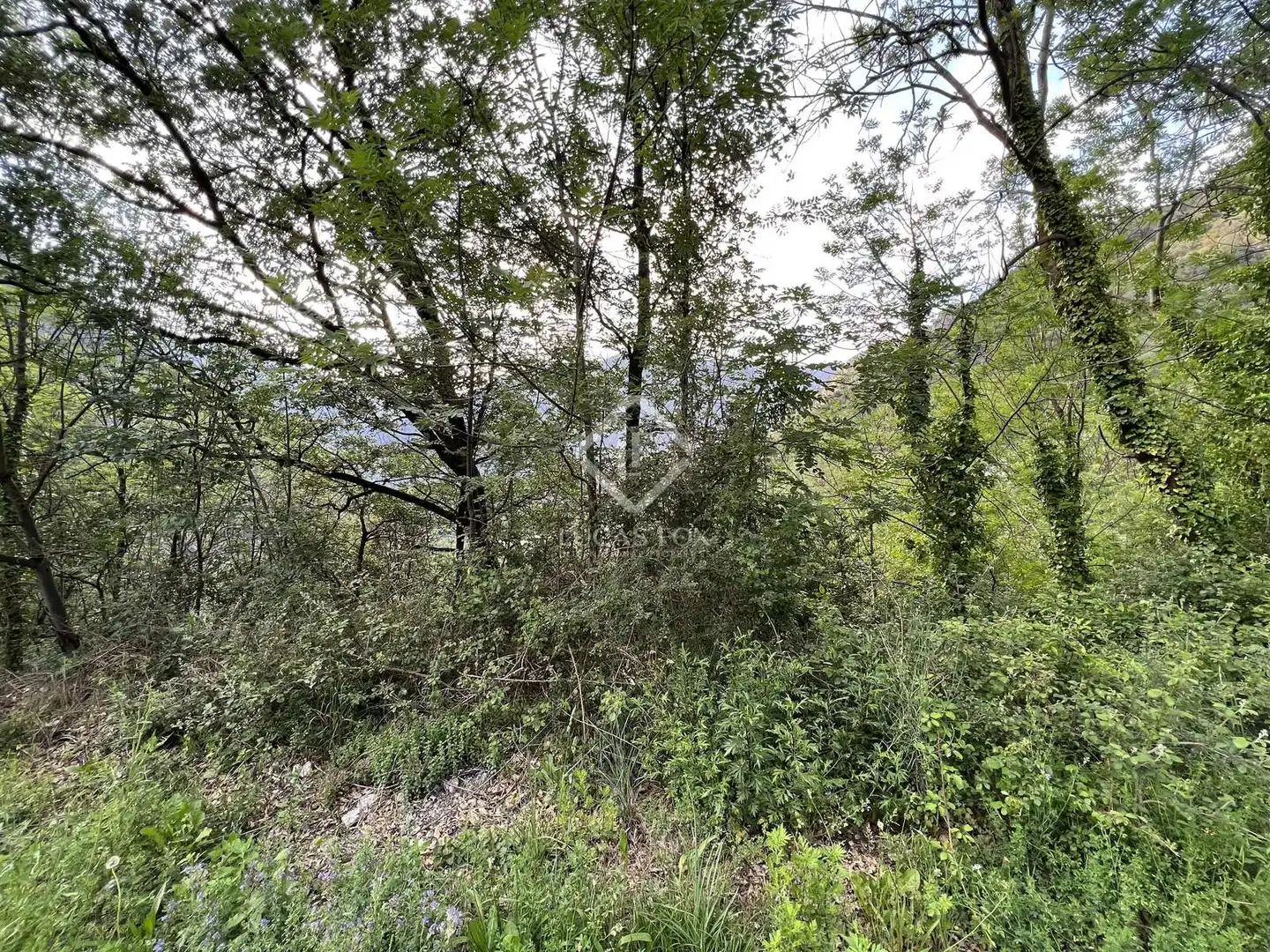 Rural land for sale in Nagol - Certers - Llumeneres, imagen 2