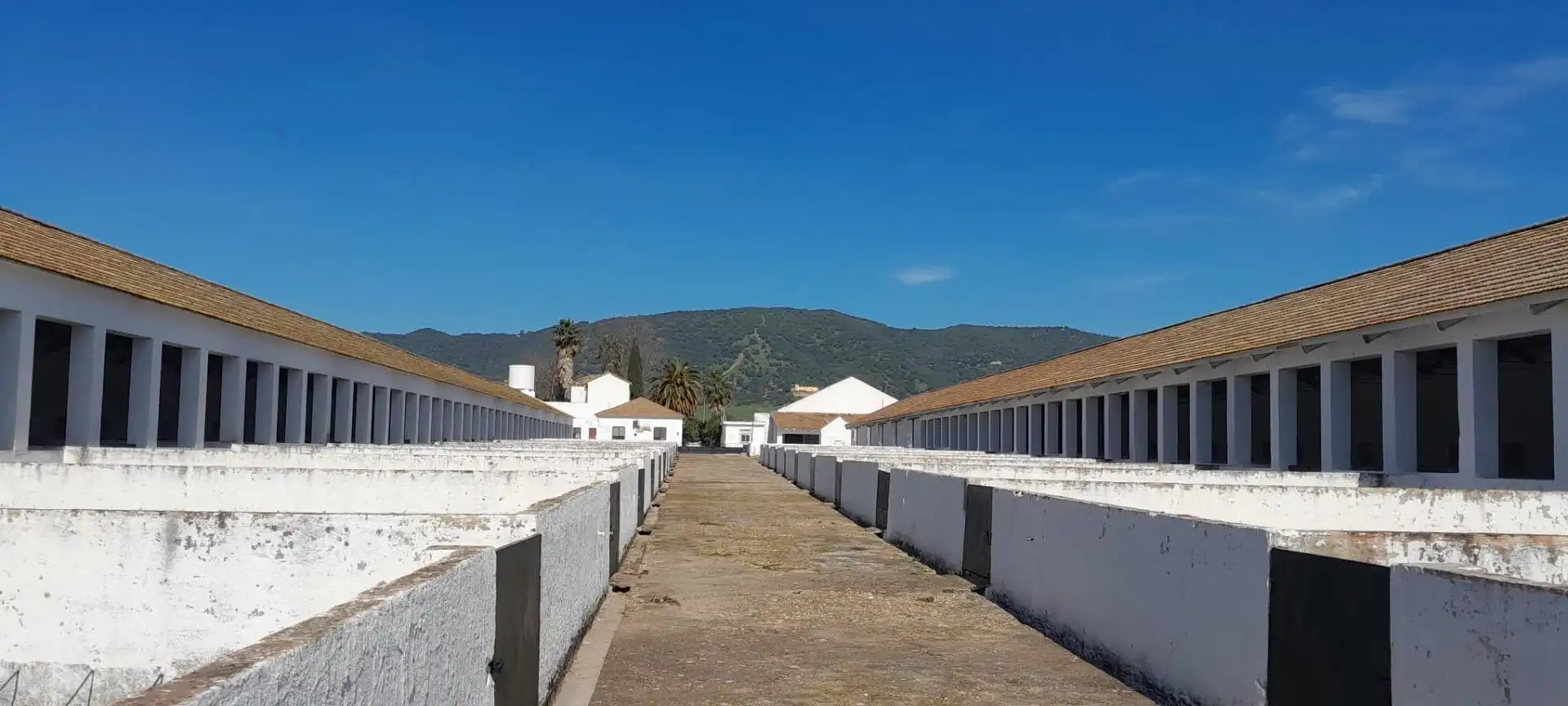 Vista exterior de Terreny industrial en venda en Córdoba