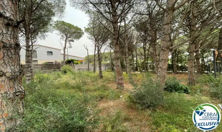 Terrenys i solars en venda a Nord, imagen 10
