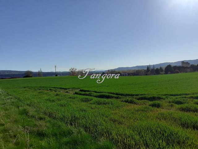 Terreno industrial en Venta en La Puebla de Arganzón
