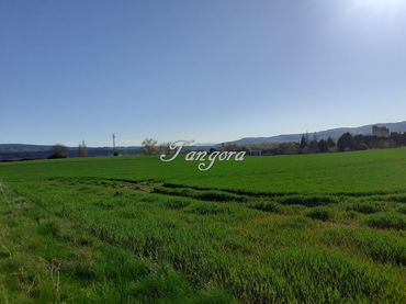 Terreno industrial en venta en La Puebla de Arganzón