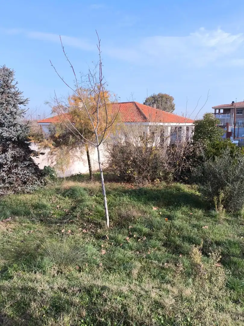 Villa avec jardin à vendre à El Viso de San Juan, imagen 10