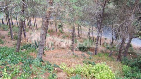 Solar ascendent de 950m2 amb una pendent de 30% amb vistes a muntanya i orientat a mar. 
Solar molt ben ubicat dins de la rbanitz