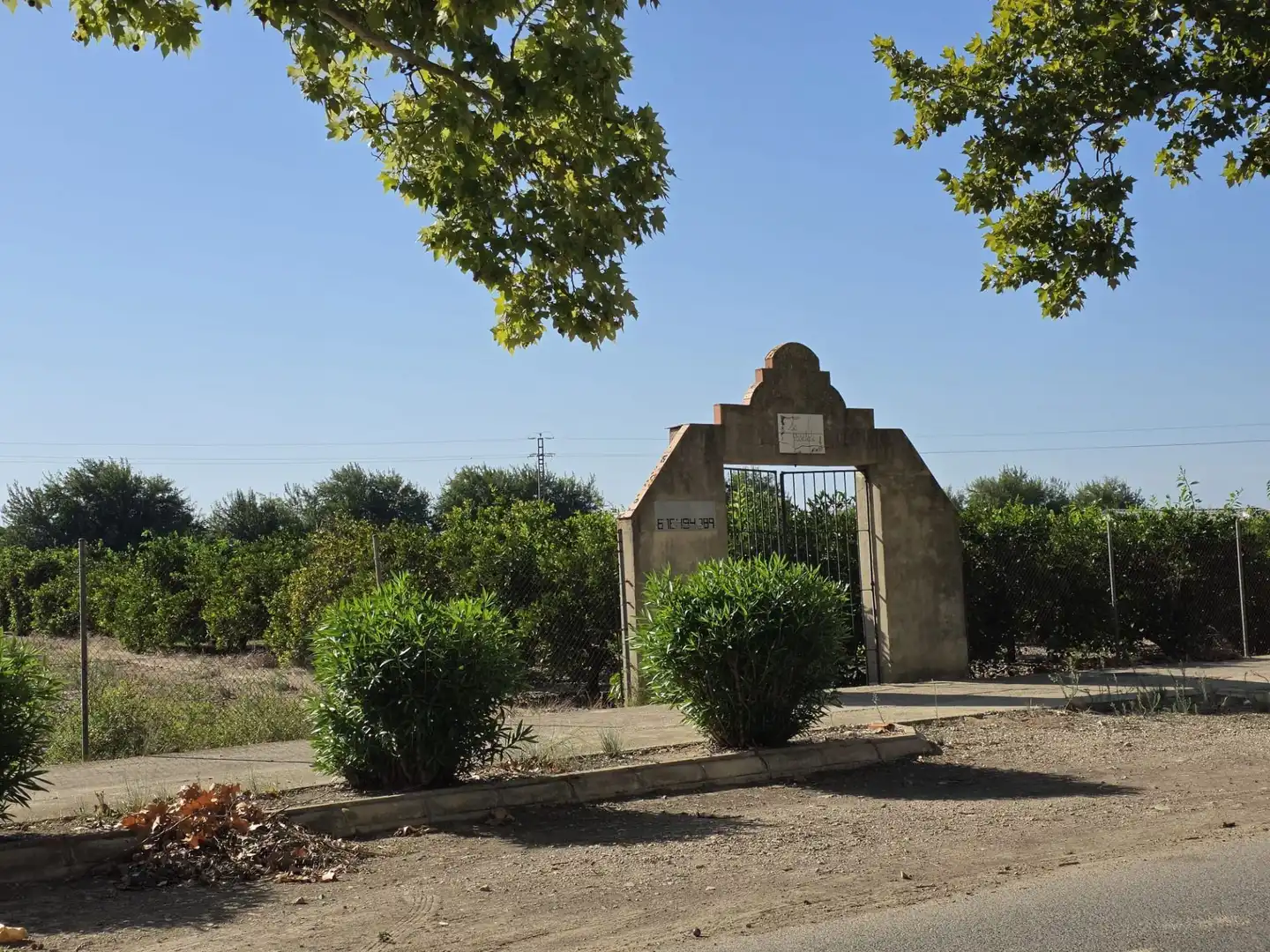 Terrain rustique à vendre à Albalat de la Ribera, imagen 2