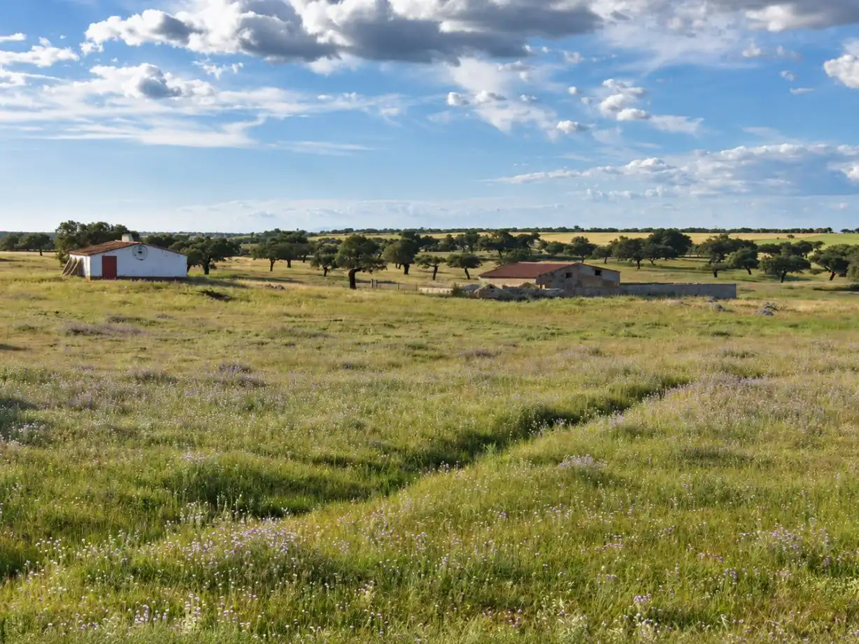 Land for sale in Nogales, Badajoz