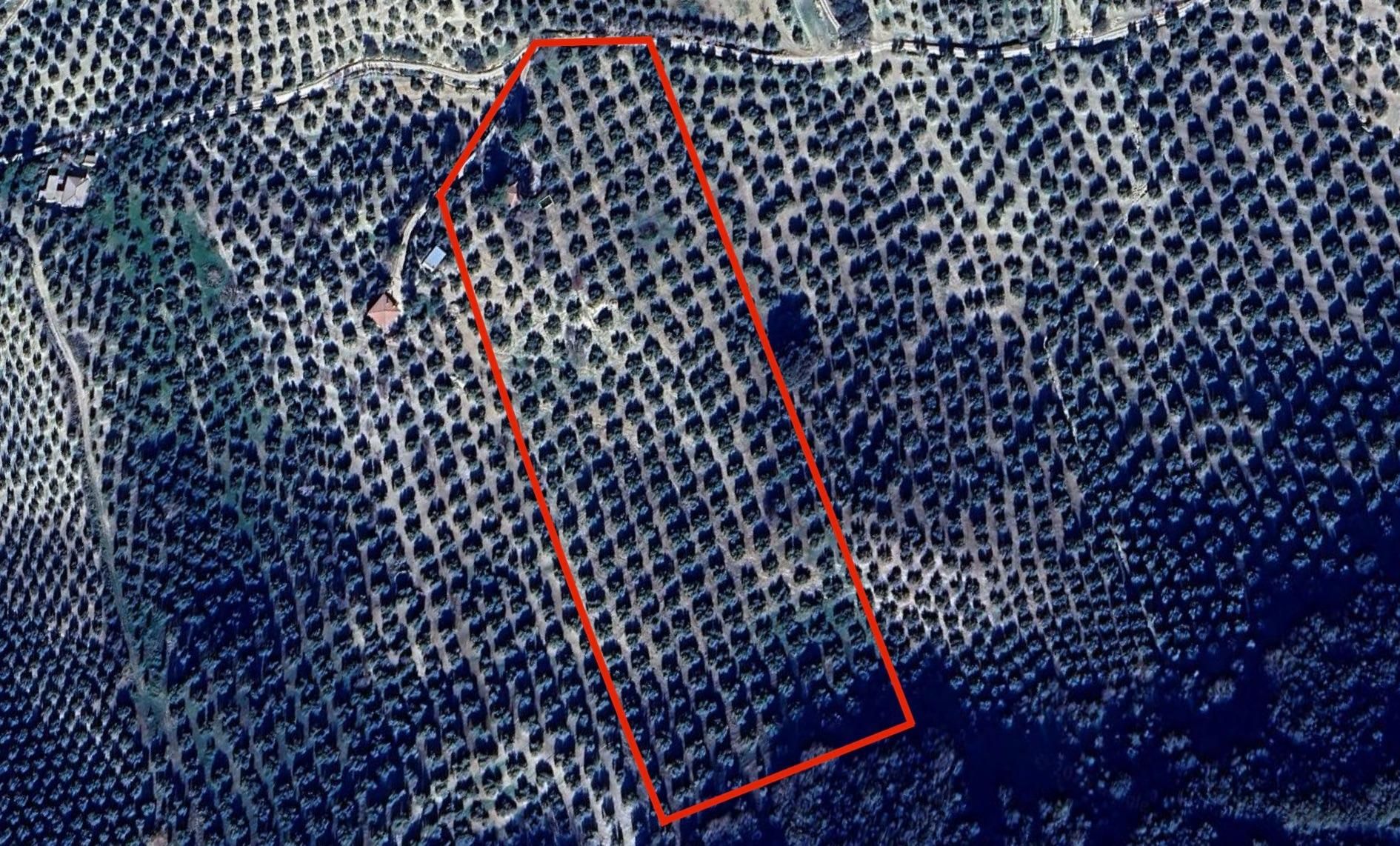 Terreno en venta en Montefrío