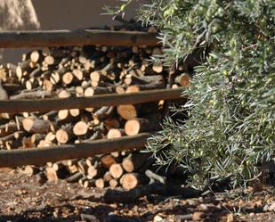 Jardí de Finca rústica en venda en Belvís de la Jara