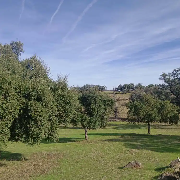 Country house for sale in El Castillo de las Guardas, imagen 2