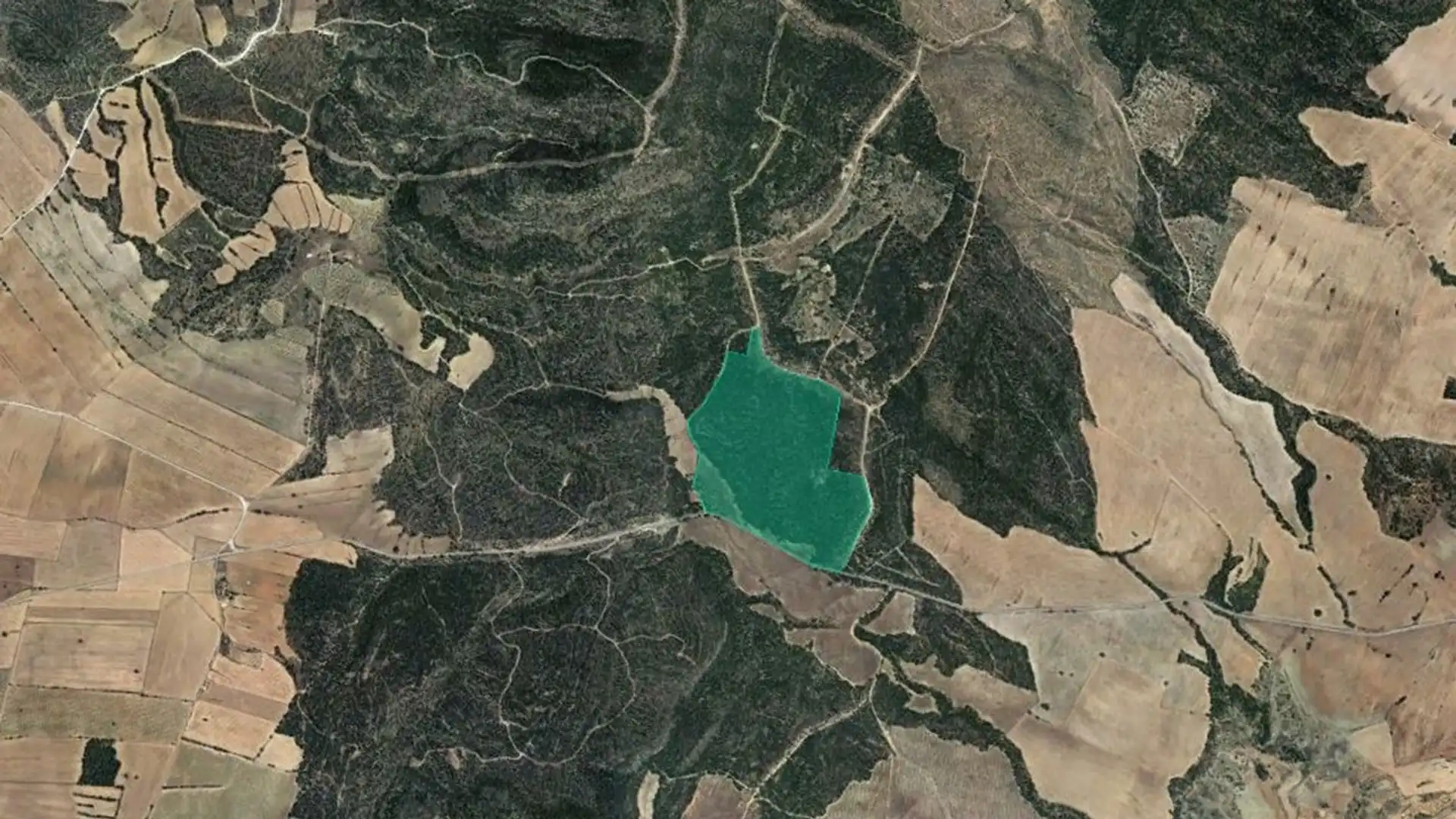 Terreno en venta en Ayora