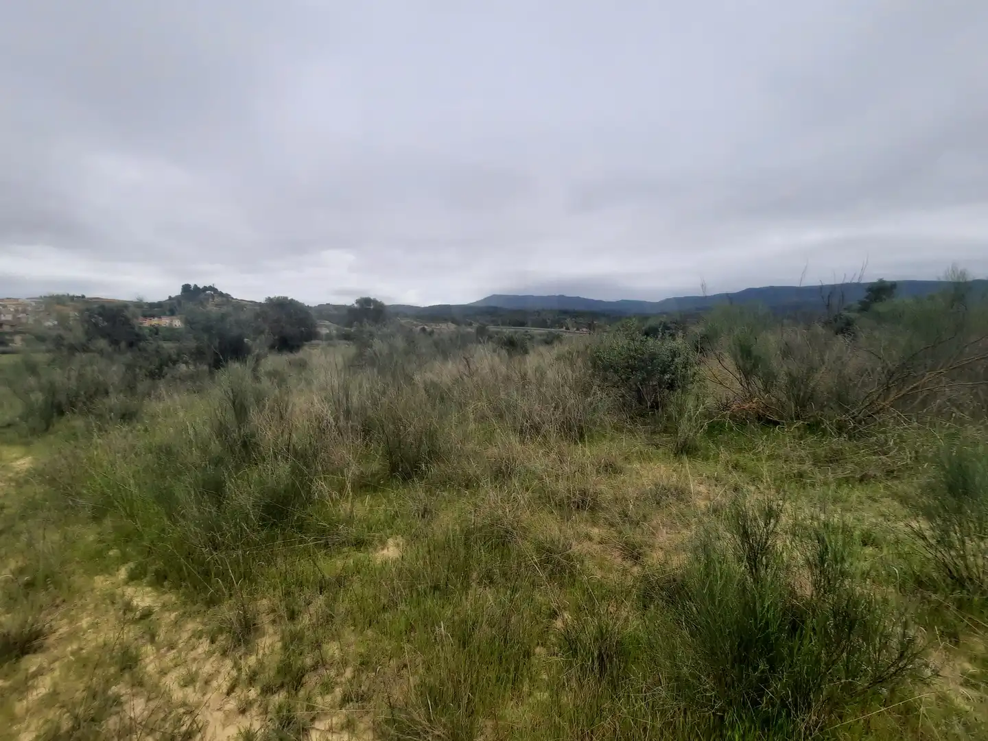 Residencial en venda en Riba-roja d'Ebre