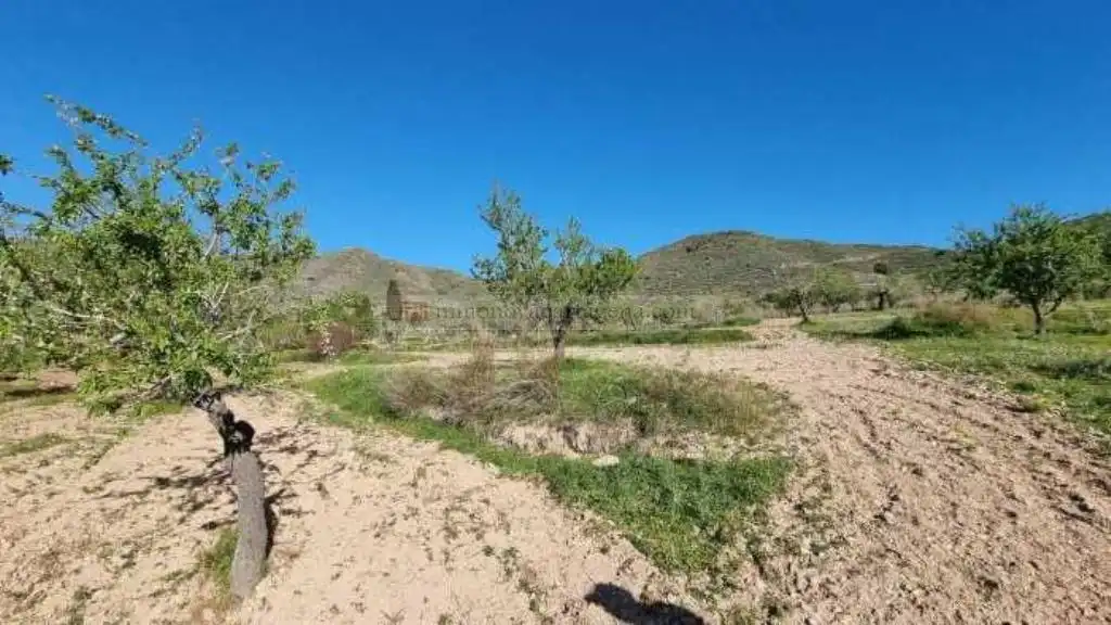 Terreni e lotti in vendita a Pedanías Oeste, imagen 8