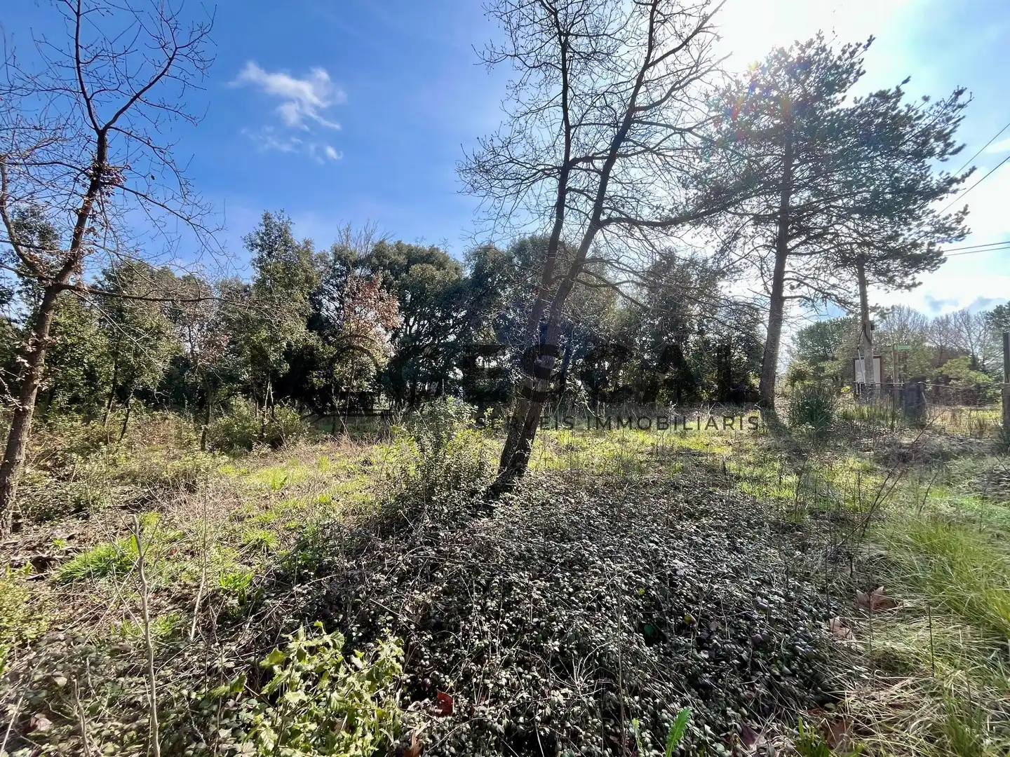 Terrenys i solars en venda a LLUIS BADO, imagen 12
