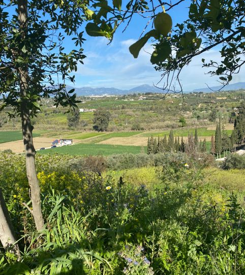 Foto 2 de Terreno en venta en Centro, Alhaurín El Grande