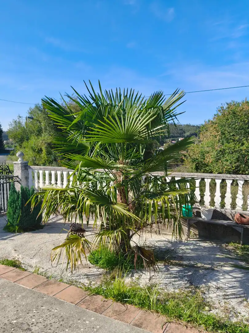 Detached house for sale in Parroquias rurales, imagen 51