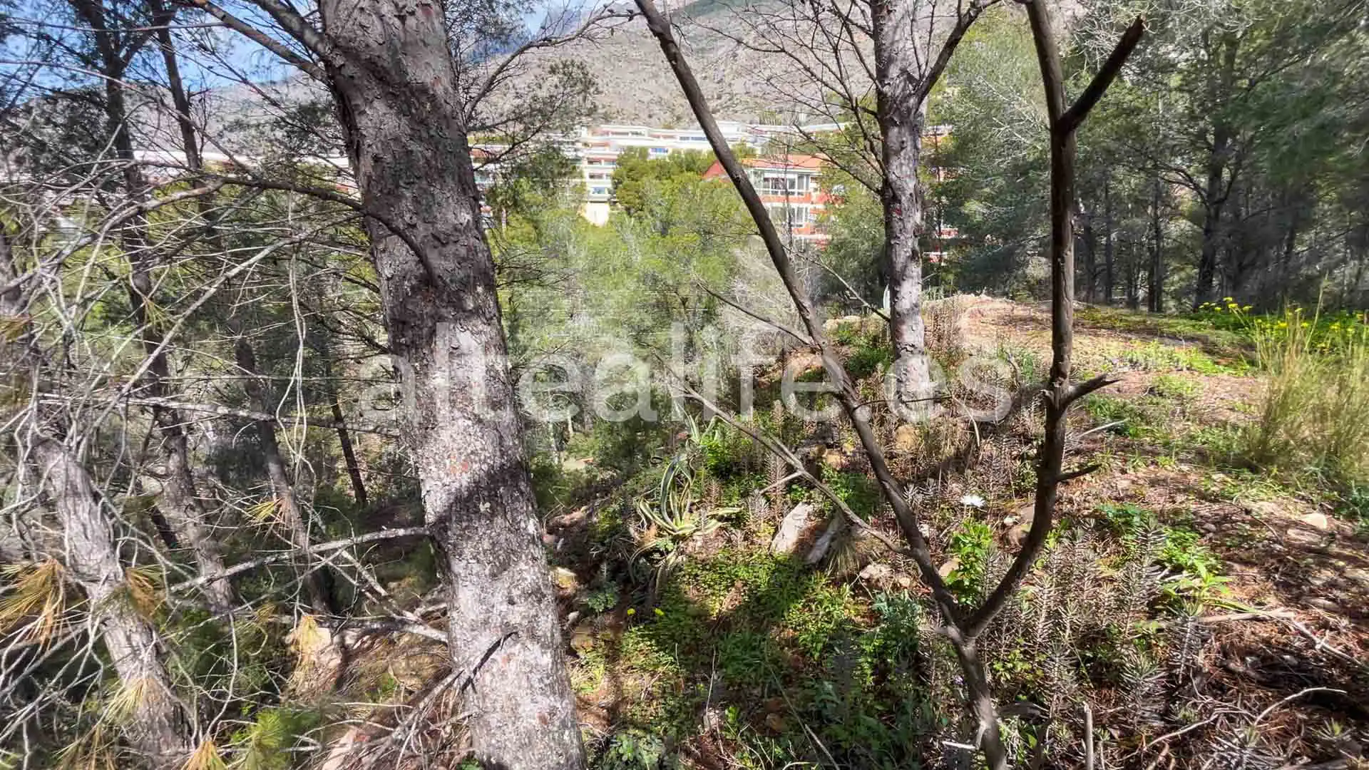 Terreny residencial en venda a Calle Erica, imagen 13